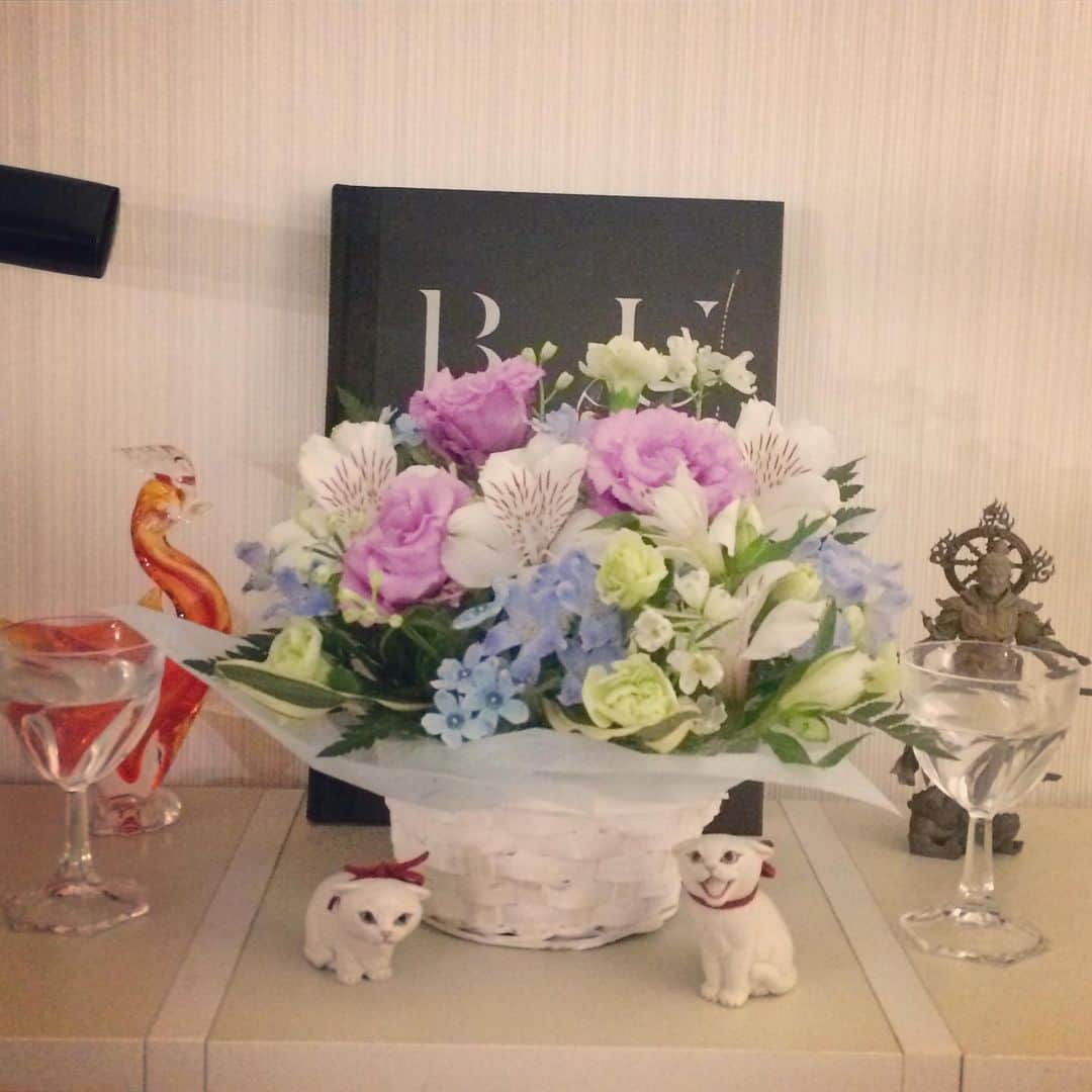 岡田屋鉄蔵のインスタグラム：「本日、回向院への納骨も完了しました。お世話になった病院からはお花を贈って頂きまして、有難い事です。先生方には最後まで寄り添って頂き感謝しかございません。引き続きミルバさんを宜しくお願い致します。」