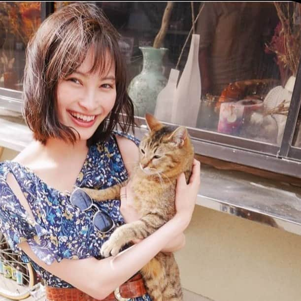 女子アナ・女優を応援する人のインスタグラム：「#大政絢#猫#かわいい」