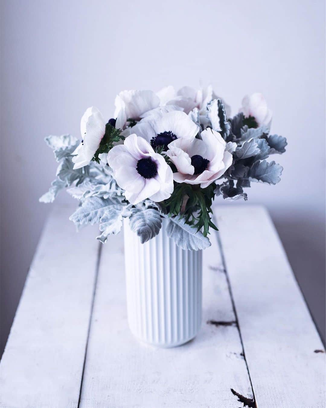 増田由希子さんのインスタグラム写真 - (増田由希子Instagram)「Anemones are one of my favorite flowers ❤︎ #anemone #anemones #winterflowers #wintercolors 白いアネモネにシルバーリーフを添えて。スモーキーな色合いが冬らしい印象。 🌿 🌿 お正月しめ飾りのご予約につきまして、 @oyatsu_utatane  @krona_oj  にて、明日12/3(火) までの受付となりますのでよろしくお願いいたします。」12月2日 23時57分 - nonihana_