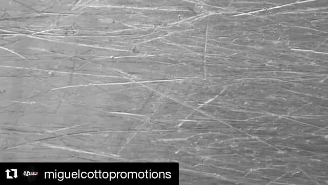 ミゲール・コットのインスタグラム：「👀🇵🇷💥👊🏼💥🇵🇷👀#Repost @miguelcottopromotions with @get_repost ・・・ #ItsFightWeek Este sábado en el Coliseo Pedrin Zorrilla en San Juan, @papichary y @mcwilliamsarroyo2 en acción en #DIRECTVBoxingNights en exclusiva por #OnDirectv  Para 🎫 @ticketpluspr」