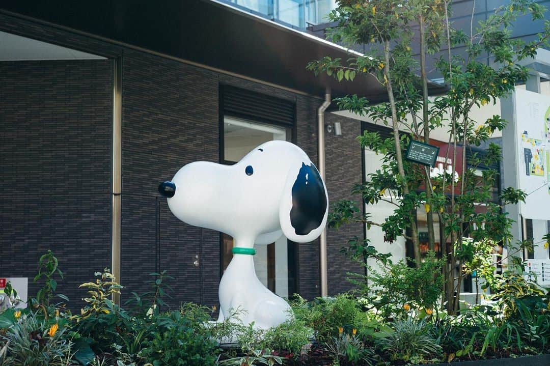 SNOOPY MUSEUM TOKYOのインスタグラム：「#snoopymuseumtokyo #schulzmuseum #snoopy #スヌーピーミュージアム #スヌーピー #12月14日オープン」