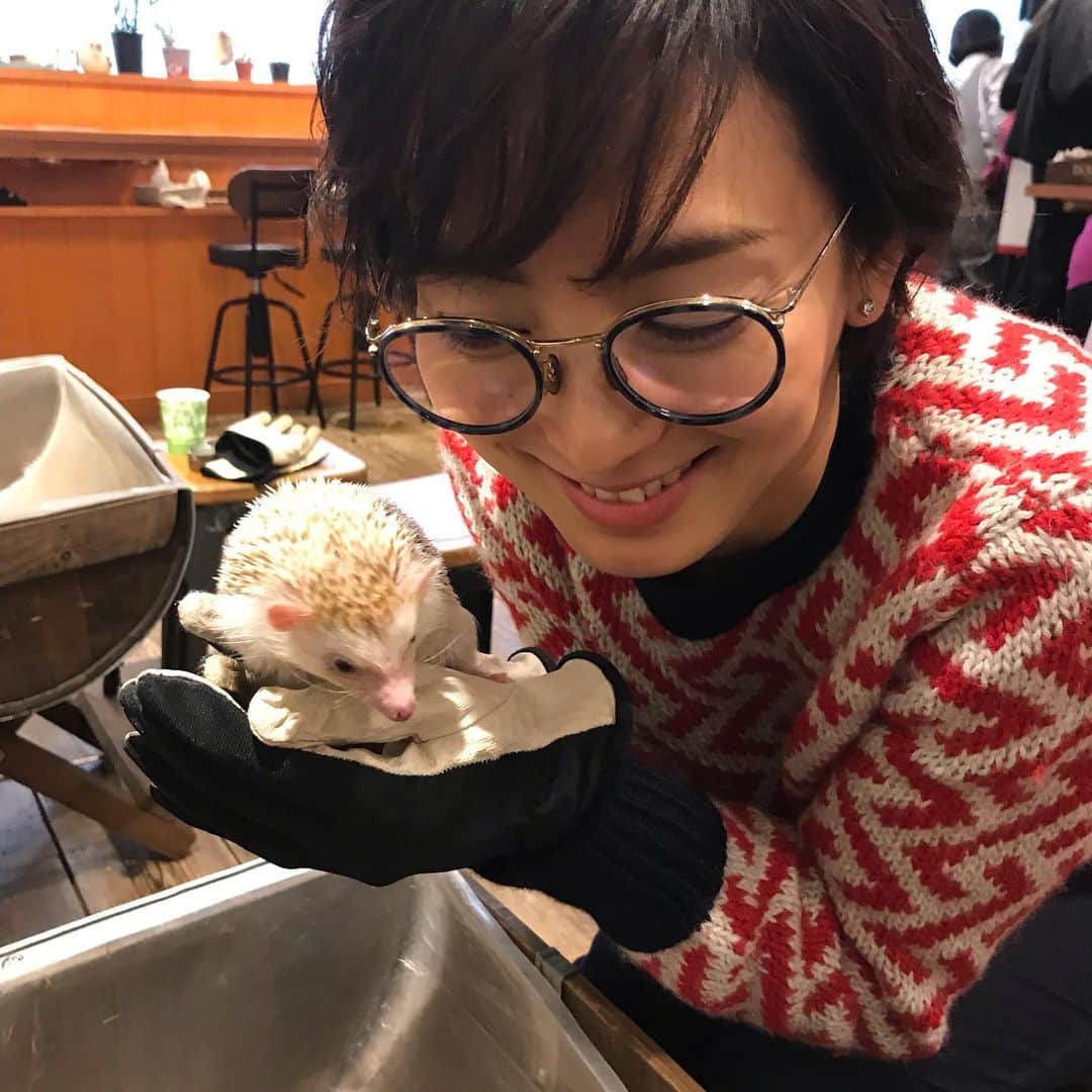 のインスタグラム：「ハリネズミカフェ＠表参道 隙あらばすぐ寝てしまう、 dog /cat food にfruits OK、 など、 今の時代を生き抜くために必要な「寛容さ」を学べます😉 あ、でも手袋ごしに噛まれました〜💦 そう、噛みついて意思表示、も時には大事！ Looking for HOT place in Tokyo? Here is Hedgehog cafe @ Omotesando. All visitors except for us were people from overseas! Very sweet but be careful they might bite over gloves. #hedgehogcafe #omotesando #touristsaddicted」