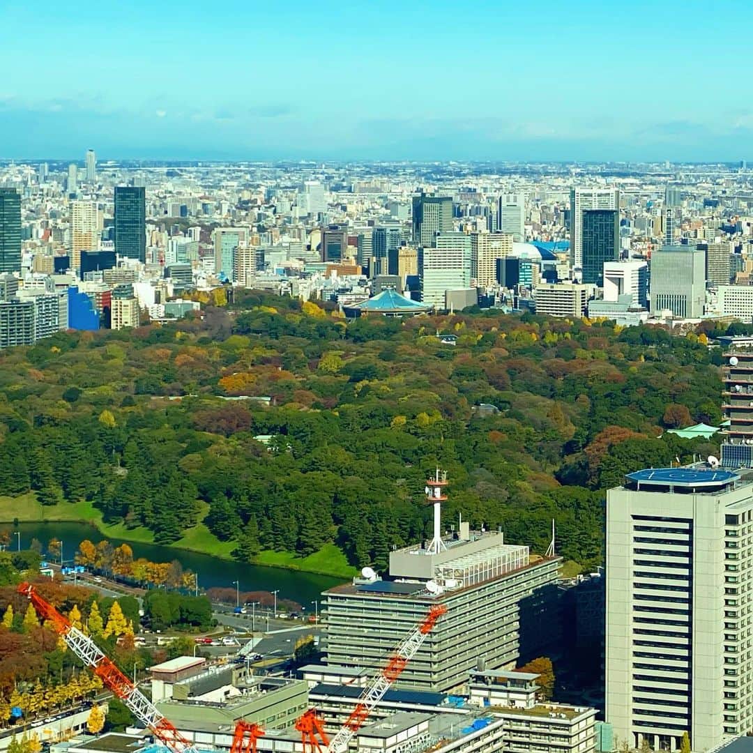 マキ・コニクソンさんのインスタグラム写真 - (マキ・コニクソンInstagram)「Breakfast at @andaztokyo  今日はお天気良いねー！☀️ 窓から紅葉が綺麗に見える！🍁 フレンチトースト美味しかった！😋 #東京のおすそ分け🗼  #秋の東京🍁#紅葉が間に合った！😊」12月3日 10時43分 - makikonikson