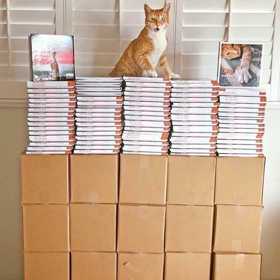 City the Kittyさんのインスタグラム写真 - (City the KittyInstagram)「Happy Cyber Monday! My books, t-shirts, tote bags, and hats are all on sale!  They are great gifts for friends and family. ❤️ All the proceeds from the sale of my will help fund our educational declawing advertising campaigns.  We rely on private donations and sales of our items to keep our work on this important cause going. ❤️🐾🐾🐾 You just might save a cat from being declawed by wearing one of my hats or t-shirts or by carrying around one of my tote bags or having one of my books on a coffee table. ❤️ (The inventory for the totes is almost gone and we won't be making any more.) We lowered the price for the 3 book bundle to $15.99. 😺 ❤️ www.citythekitty.org/shop  Thanks to all of you who have picked some of them up! #PawsNeedClaws #catswag #totebag #stopdeclawing #nonprofitorganization #bethechange #cybermonday」12月3日 3時26分 - citythekitty