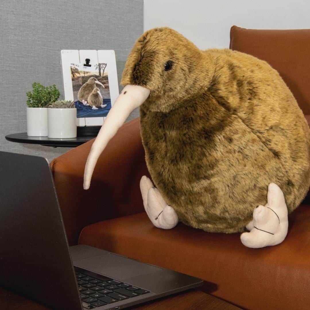 アメリカン航空のインスタグラム：「Decisions, decisions … flights to Christchurch and Auckland, New Zealand are on sale now. Be like kiwi and book today! 🇳🇿」