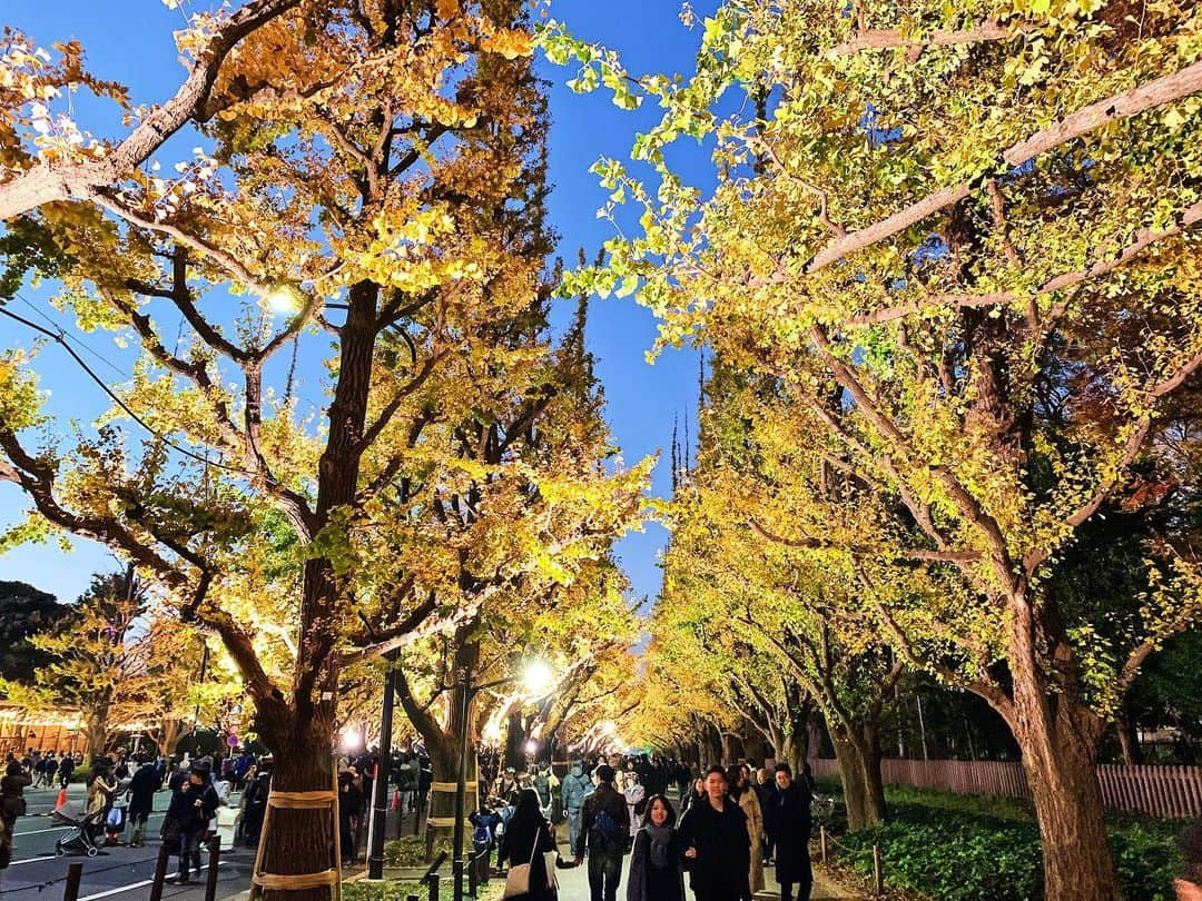 日下裕江さんのインスタグラム写真 - (日下裕江Instagram)「夜のライトアップされた銀杏並木も綺麗で好き♡  #銀杏並木ライトアップ #神宮外苑銀杏並木ライトアップ #神宮外苑銀杏並木 #神宮外苑いちょう並木 #いちょう並木 #銀杏並木ライトアップ #autumnleaves #autumn #秋　#紅葉」12月3日 3時35分 - hiroe___h