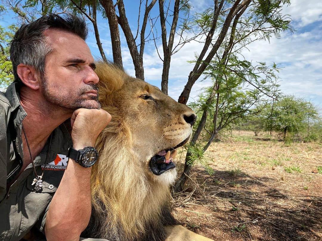 Kevin Richardson LionWhisperer さんのインスタグラム写真 - (Kevin Richardson LionWhisperer Instagram)「Contemplating what the future holds for our planet and these magnificent animals.  I wrote a long, contemplative and what I thought, thoughtful caption to go with this picture and then deleted it, because no matter what I write, no matter how sincere I am, there will also be opposing opinions but whatever us humans do or think the planet has survived much more than us. At the end of the day planet earth will shake humans off like a bad case of fleas. So I thought bugger it, sometimes life’s too short to get hung up about the future, social media and people, so here’s a picture of me hanging with my bud Siam. Hope you have a smashing week and that Monday was good to you. #liveinthemoment #lifestooshort #buggerit #socialmediacurseandblessing #theshowwillgoon #humans #homosapiens #lions #fleas #parasites」12月3日 3時41分 - lionwhisperersa