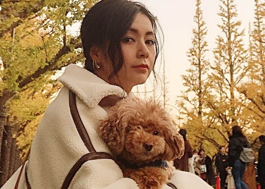 日下裕江さんのインスタグラム写真 - (日下裕江Instagram)「ロルと紅葉デート♡  ロルのやる気ない感じの 気怠い表情…😂 #autumnleaves #autumn #紅葉 #紅葉デート #秋 #神宮外苑いちょう並木 #銀杏並木 #いちょう並木」12月3日 3時58分 - hiroe___h