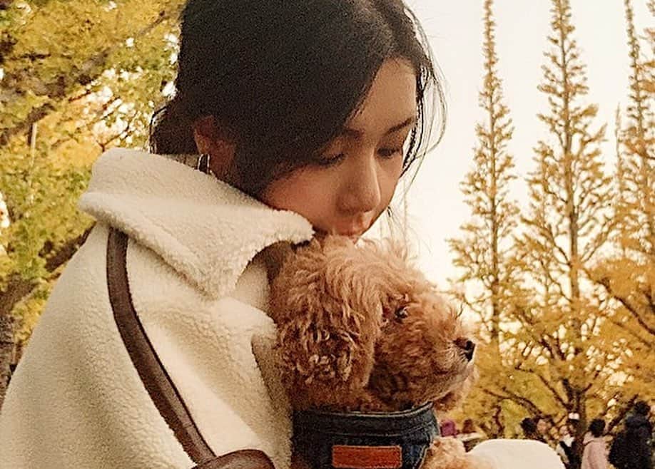 日下裕江さんのインスタグラム写真 - (日下裕江Instagram)「ロルと紅葉デート♡  ロルのやる気ない感じの 気怠い表情…😂 #autumnleaves #autumn #紅葉 #紅葉デート #秋 #神宮外苑いちょう並木 #銀杏並木 #いちょう並木」12月3日 3時58分 - hiroe___h