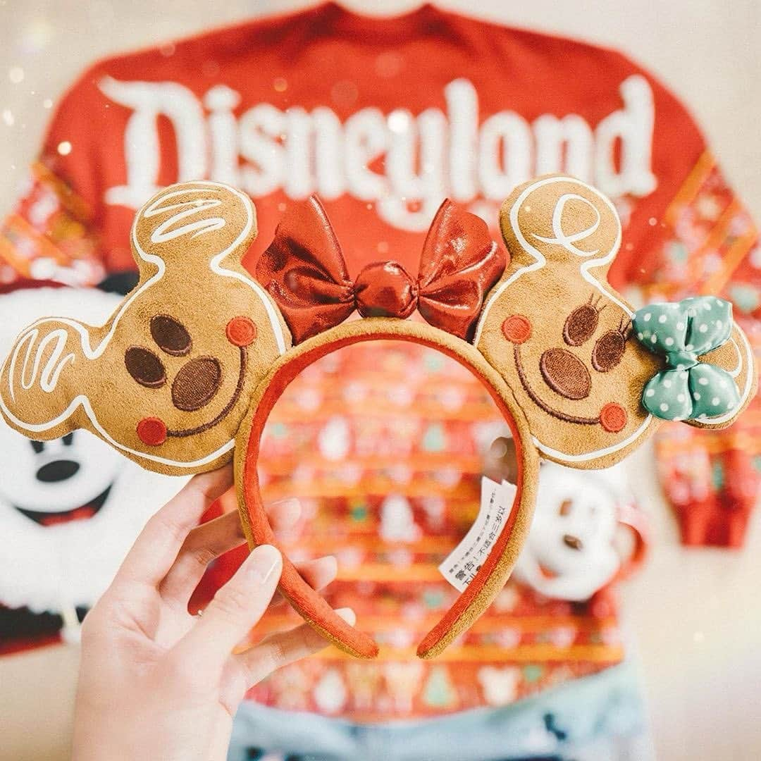 ディズニーランドさんのインスタグラム写真 - (ディズニーランドInstagram)「Happy, merry, holly, jolly season's greetings here ☃️ (📷: @dizmagic, @whereiskirstie)」12月3日 5時53分 - disneyland