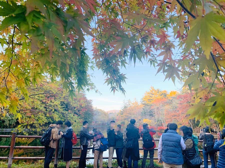 小澤陽子さんのインスタグラム写真 - (小澤陽子Instagram)「🍁 𝙽𝚘𝚟𝚎𝚖𝚋𝚎𝚛... . . 気付けば、令和元年最後の月: 12月に突入していました😳 師走ですね！早い。。 . . 気温差が激しかったりしますので、みなさんも体調には気を付けてください…💐 . .  #令和元年 #November #11月 #December #12月 #友人の結婚式の際に見つけた紅葉 #軽井沢 #シェアはぴ🌻」12月3日 11時33分 - yoko.ozawa729