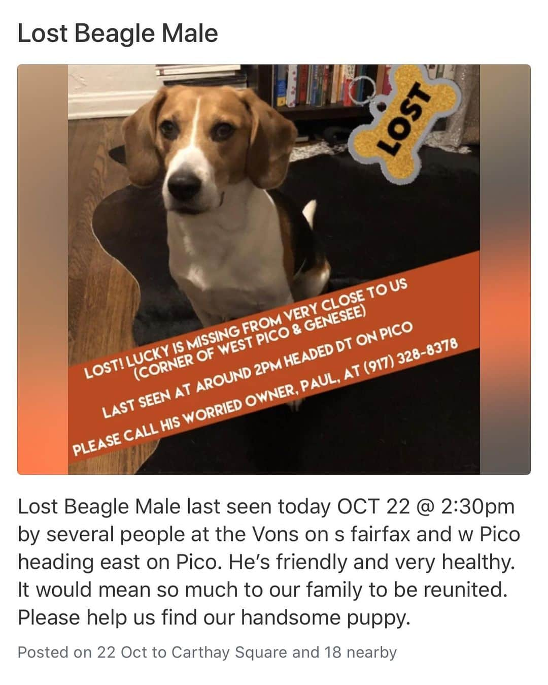 カリスマ・カーペンターさんのインスタグラム写真 - (カリスマ・カーペンターInstagram)「Los Angeles: Missing since Oct 22nd. Please help these friends find their “Lucky”. See caption for details」12月3日 6時35分 - charismacarpenter