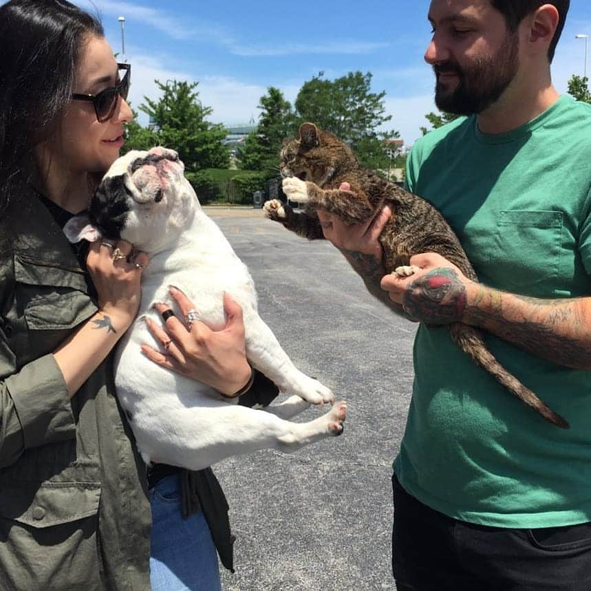 Manny The Frenchieさんのインスタグラム写真 - (Manny The FrenchieInstagram)「So sad to hear that friend and fellow @halopets family Lil Bub has passed away. I'll always remember her as a very special and sassy cat who tried to eat me the 1st time we met. Rest in space lil buddy. 🛸💕 @iamlilbub」12月3日 6時53分 - manny_the_frenchie