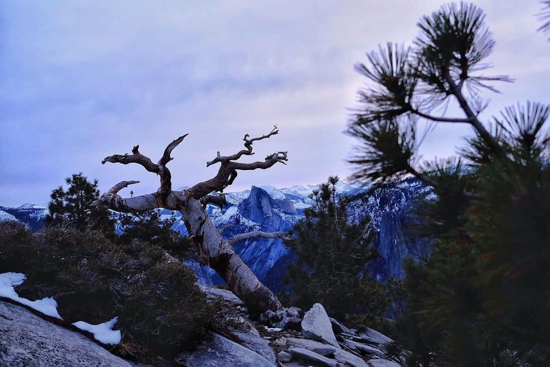 バーバラ・ザンガールさんのインスタグラム写真 - (バーバラ・ザンガールInstagram)「Good bye Yosemite!」12月3日 7時18分 - babsizangerl