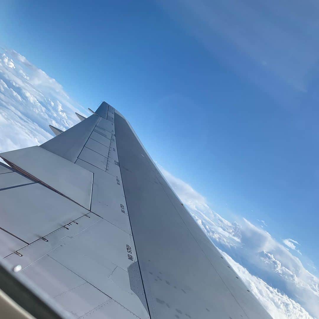 森田真結子さんのインスタグラム写真 - (森田真結子Instagram)「大雨の日の飛行機の 「雲を抜けたら青空ピカーン！」 な瞬間が、とっても好き。  #飛行機 #✈#✈️ #✈️✈️✈️✈️✈️✈️✈️✈️✈️✈️✈️✈️✈️ #JAL #今月は多め」12月3日 7時49分 - mayodarts