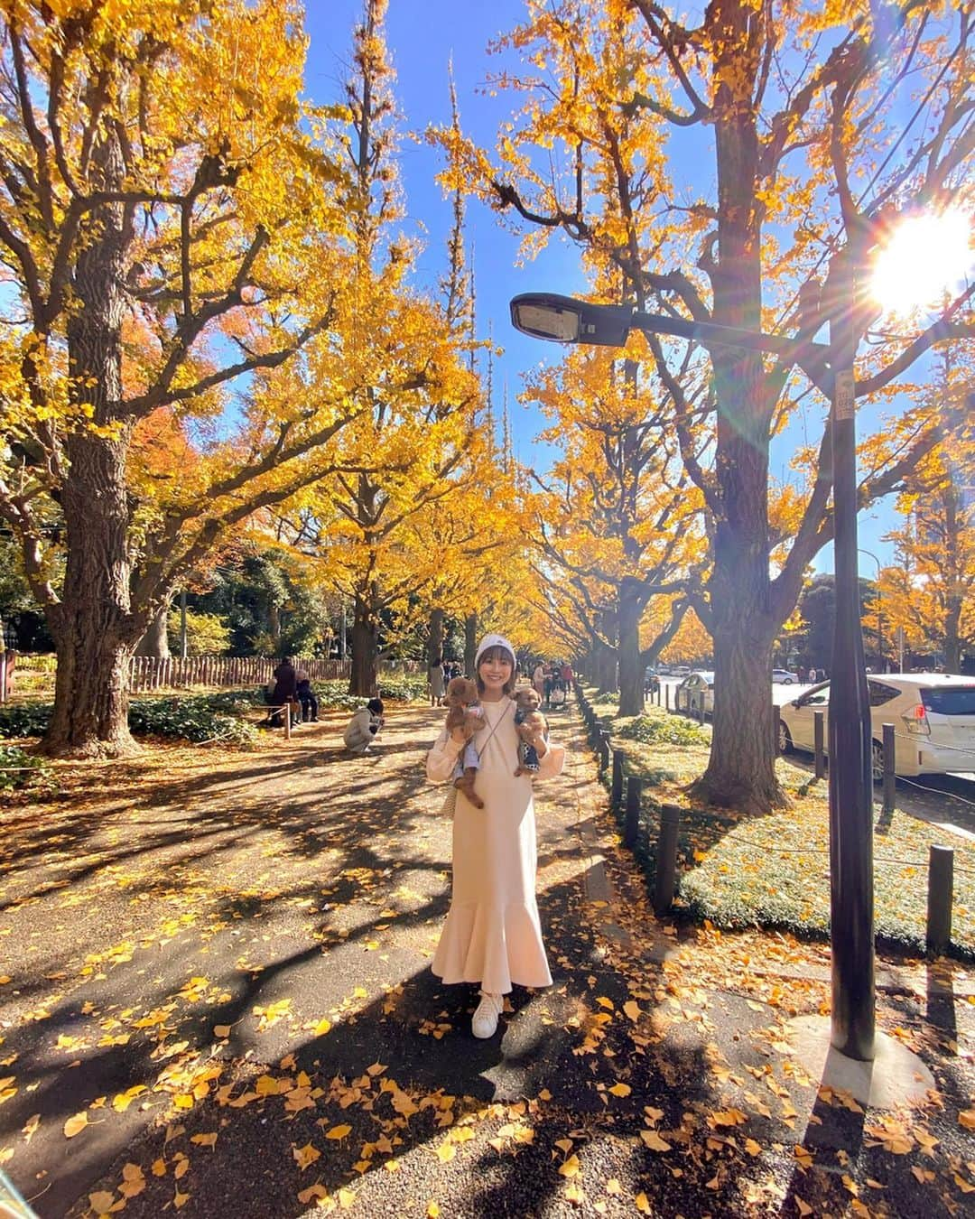 水野佐彩さんのインスタグラム写真 - (水野佐彩Instagram)「・ 🍂🍂🍂❤️ 去年まではおもちと旦那さんと3人だった 銀杏並木のお散歩道🐶 おはちゃんは初めての景色にわくわくで とびきり楽しそうでした💕💕 来年はもうひとり増えてお散歩したいな👨‍👩‍👧🐶🐶❤️ #外苑前いちょう並木 #銀杏並木 #おさんぽ #おさんぽデート #おもちの相変わらずの目つぶり #十中八九目つぶり #絶対わざと #オーバーオール兄弟 #お散歩大好き」12月3日 19時22分 - saaya_mizuno