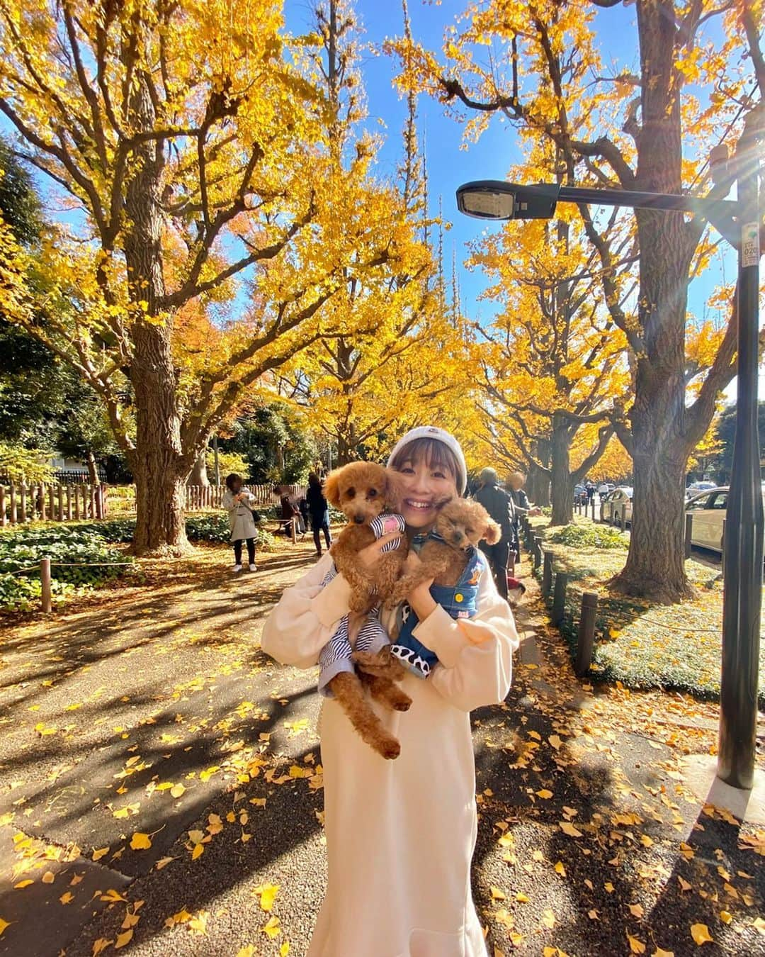 水野佐彩さんのインスタグラム写真 - (水野佐彩Instagram)「・ 🍂🍂🍂❤️ 去年まではおもちと旦那さんと3人だった 銀杏並木のお散歩道🐶 おはちゃんは初めての景色にわくわくで とびきり楽しそうでした💕💕 来年はもうひとり増えてお散歩したいな👨‍👩‍👧🐶🐶❤️ #外苑前いちょう並木 #銀杏並木 #おさんぽ #おさんぽデート #おもちの相変わらずの目つぶり #十中八九目つぶり #絶対わざと #オーバーオール兄弟 #お散歩大好き」12月3日 19時22分 - saaya_mizuno