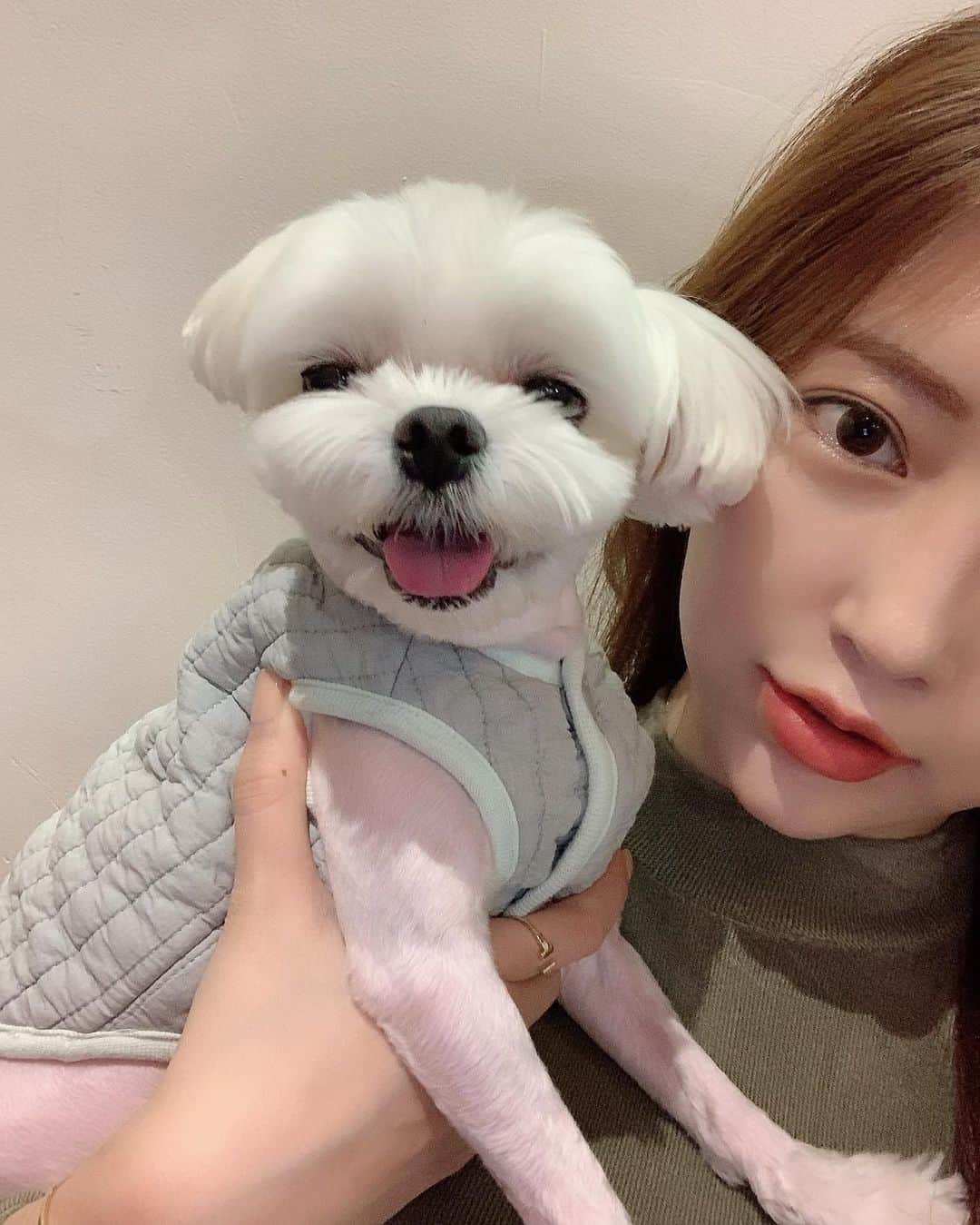 Choi Somiさんのインスタグラム写真 - (Choi SomiInstagram)「⠀⠀⠀⠀ #둥둥이 #김둥둥6세  우리 둥둥이 귀여운 거 못 본 사람 없게 해주세요  사랑해 내 아들🤍」12月3日 19時38分 - cxxsomi