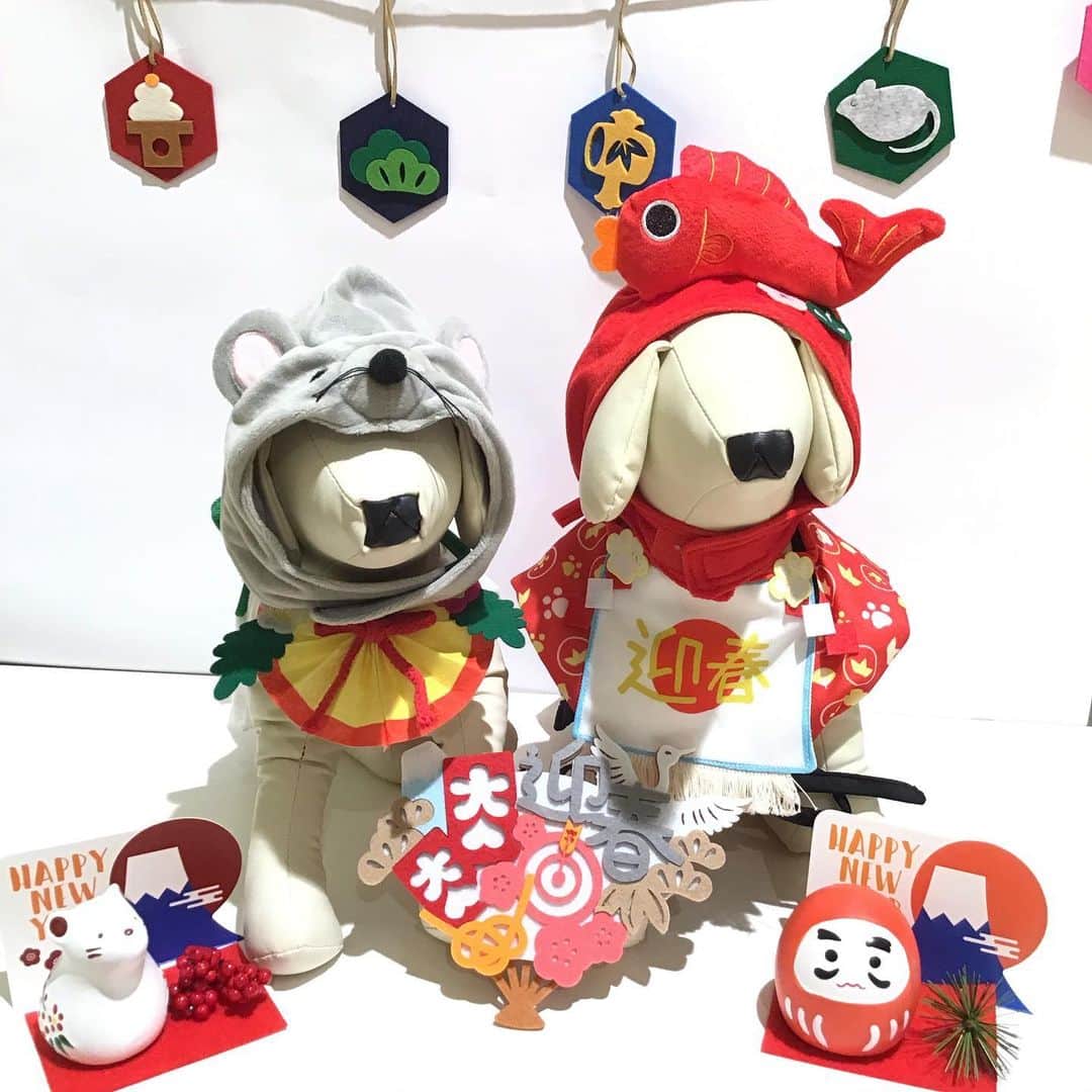 3COINS lN LUMINEさんのインスタグラム写真 (3COINS lN LUMINEInstagram)「こんにちは😃