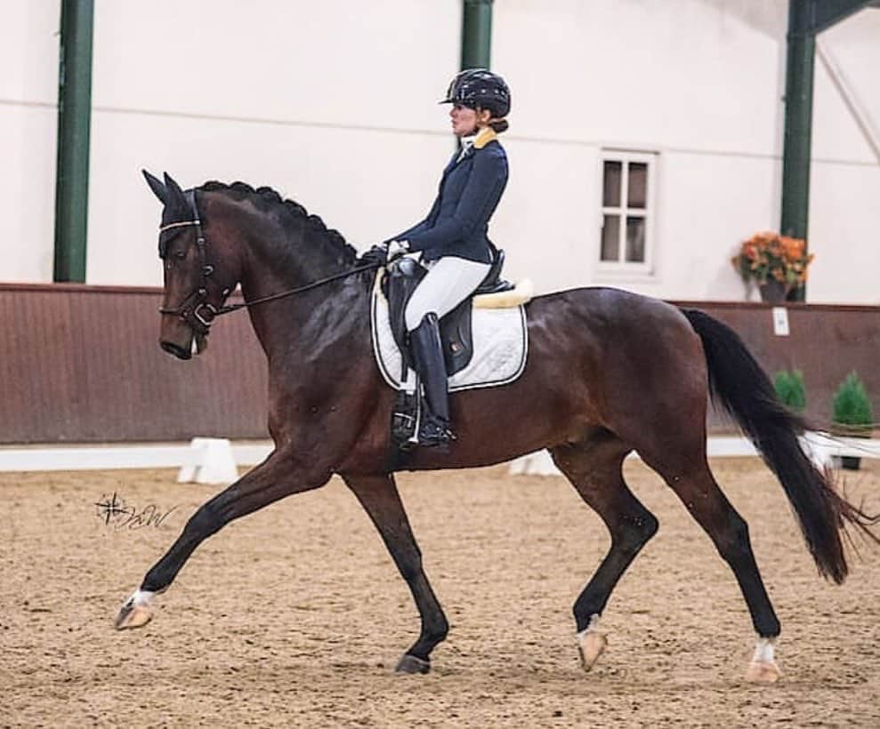 のインスタグラム：「Pure beauty  @jolandaadelaar  #dressage #ourpassion #dressagelife #dressageboots #dressagecompetition #dressagetraining」