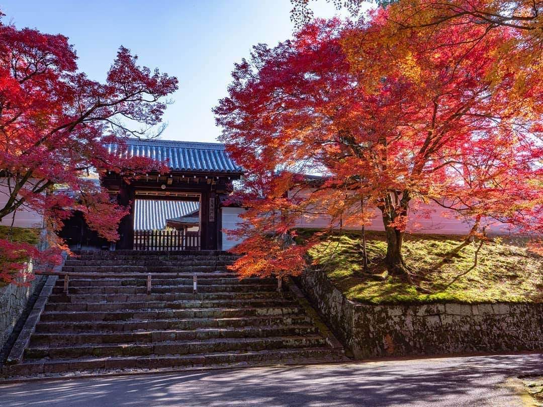 中島徹のインスタグラム