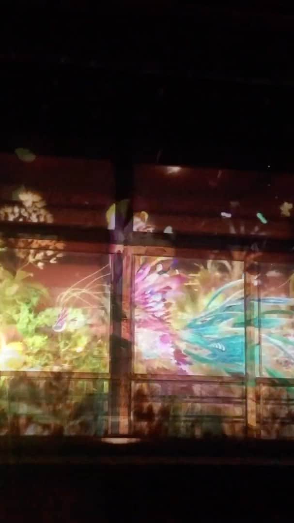 神崎美羽のインスタグラム：「FLOWERS BY NAKED 2019 -京都・二条城-  #japan #kyoto #nijocastle #projectionmapping #autumn」