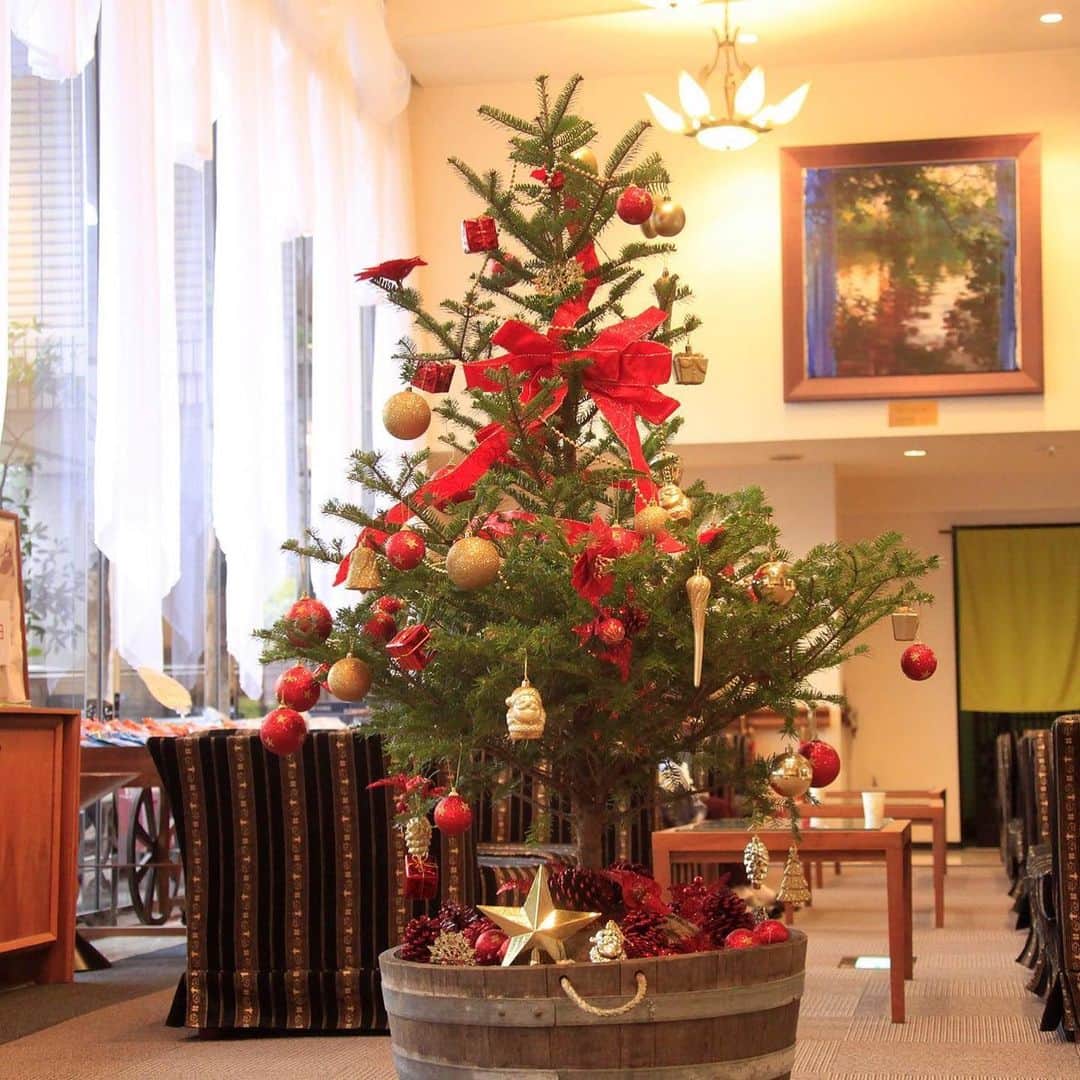 メルヴェール箱根強羅【公式】さんのインスタグラム写真 - (メルヴェール箱根強羅【公式】Instagram)「メルヴェールにもクリスマスツリーが登場しました！ロビーも、お食事も少しずつ冬仕様に変化しております。 . 12/21～25にはクリスマス限定プランもございますので、箱根へお越しの際はぜひ温泉クリスマスを愉しみにお越しください♪ . . . 皆様のご来館をスタッフ一同、心よりお待ちしております！ . . メルヴェール箱根強羅 ＊～＊～＊～＊～＊～＊～＊～ TEL: 0570-783-144 ご予約は公式HPがお得！ トップページのURLよりご予約ください ＊～＊～＊～＊～＊～＊～＊～ #メルヴェール箱根強羅 #メルヴェール #箱根強羅 #箱根 #箱根旅行 #箱根旅 #箱根温泉 #強羅温泉 #家族旅行 #恋人旅行 #週末箱根 #がんばろう箱根 #クリスマス #温泉クリスマス #箱根クリスマス #クリスマスツリー #クリスマスプラン #hakone #merveillehakonegora #hakonegora #hakoneonsen #hakonetrip #japantrip #hakoneautumn #autumn #autumnleaves #Christmas #Xmas #Christmastree #onsenchristmas」12月3日 20時29分 - merveille_hakone_gora