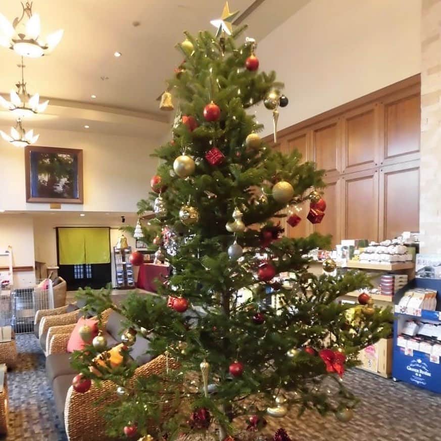 メルヴェール箱根強羅【公式】のグルメインスタ