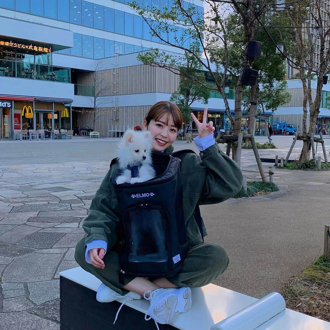 のインスタグラム：「_ えるもさんもすっかりお気に入りのリュック　@winsun.japan  全飼主さまにオススメしたい🙏シートベルトにも固定できるし、大安定で空間も広いので移動中のストレスかなり減ると思うし、本当にゲットしてよかった☺️ なにより名前入れられるのがかわいすぎて、、🐶」