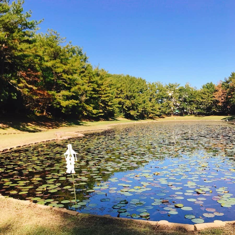 秋本ゆかりさんのインスタグラム写真 - (秋本ゆかりInstagram)「月曜日は宮崎シーガイアリゾート🏝の「何もしない贅沢女子旅プラン」のご紹介でした。 お菓子やワインのお土産が付いていたり、お部屋でのブランチが楽しめたり、カフェでスイーツが頂けたり、特典満載でお値段は1人1万5800円〜ととってもお得✨ .  焚火のリビングも楽しい☺️スタッフも嬉しそうにマシュマロ焼いてたよ😂 .  アクティビティーでは、パワースポットの江田神社へ。 空気が良くて、みそぎの池も美しかったです😌  また行きたいな〜〜🥺 レタールームでは未来の子供達に手紙を書いたから、家族でもまた行かなきゃ⤴️ .  #kbc#アサデス九州山口  #宮崎#宮崎シーガイアリゾート#シェラトングランデオーシャンリゾート#贅沢女子旅プラン#施設内に楽しめるポイントいっぱい #江田神社#みそぎ池」12月3日 20時38分 - akimoto_yukari