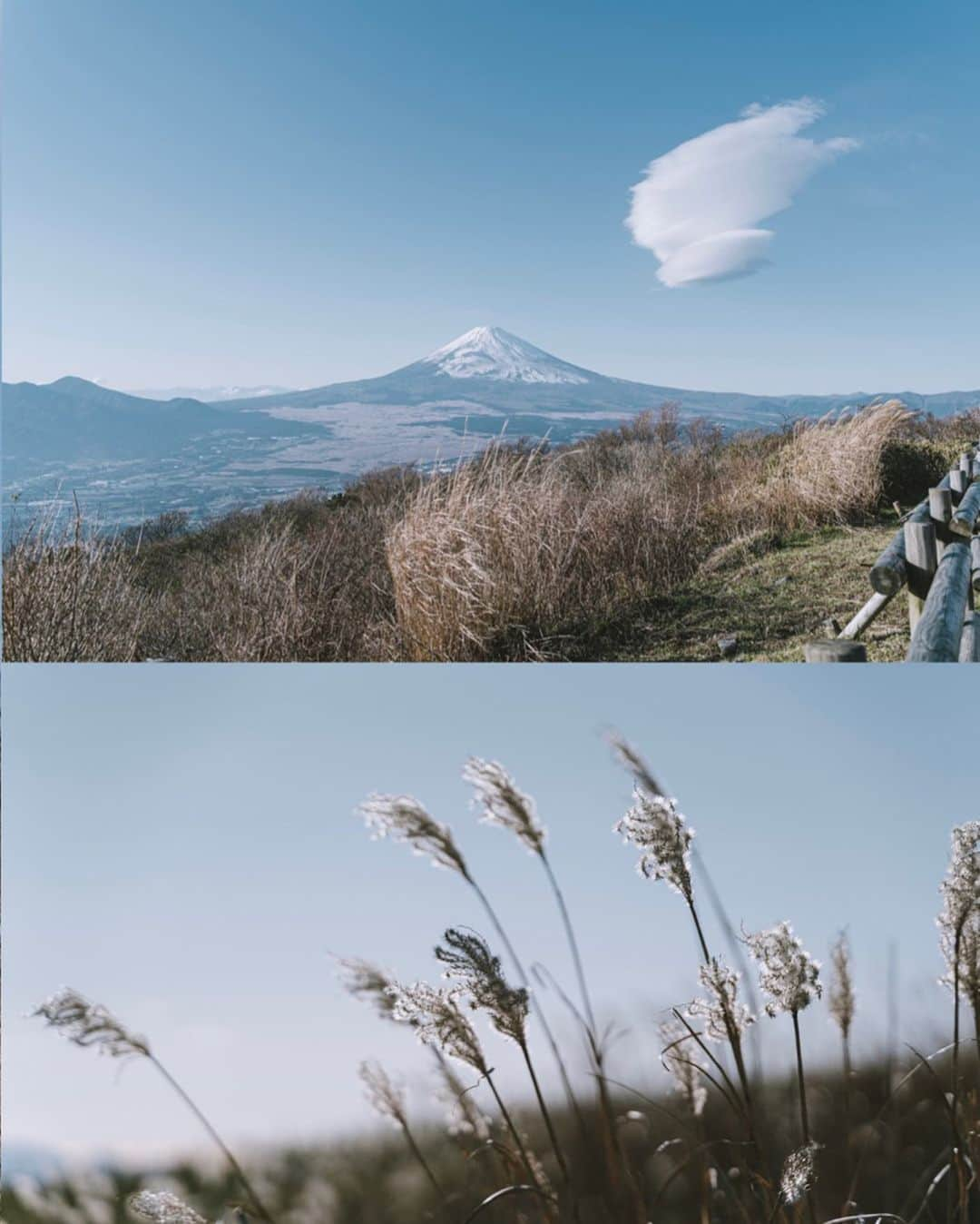 市川渚さんのインスタグラム写真 - (市川渚Instagram)「Mt.Fuji 🏔 and the strange cloud☁️﻿ ﻿ ﻿ ﻿ この間、芦ノ湖のあたりに行った時見かけた不思議な雲と富士山（左にスワイプしてちょ）。﻿ ﻿ 富士山の山頂を通り過ぎた上昇気流がロール状に回転してできる雲で、つるし雲と呼ばれるらしい。普段は数分から数秒で消えてしまうらしいけれど、この日は形を変えながらこの位置にしばらく存在してた。﻿ ﻿ 風は強かったけれど、お天気が良くて最高の1日であった。﻿ ﻿ ﻿ #富士山 #mtfuji #mtfujijapan #mtfuji🗻 #landscape #landscapephotography #beautifullandscape #Japanese_landscape #japanlandscape #landscapephotograpy #best_moments_landscape ﻿#strangecloud #変な雲 #雲 #cloudscape #sonya #sonya7iii #tamron2875 #tamrona036」12月3日 20時34分 - nagiko