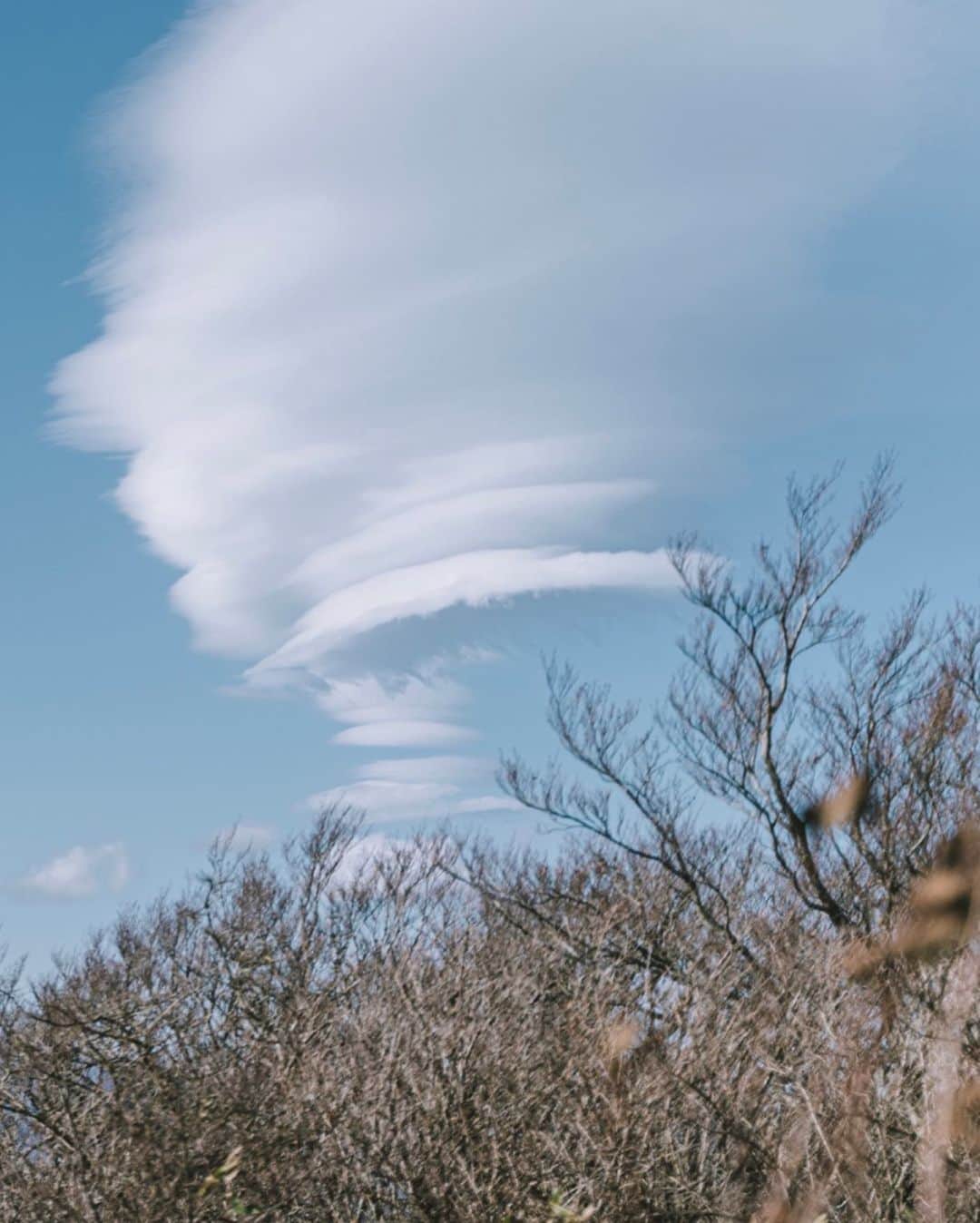 市川渚さんのインスタグラム写真 - (市川渚Instagram)「Mt.Fuji 🏔 and the strange cloud☁️﻿ ﻿ ﻿ ﻿ この間、芦ノ湖のあたりに行った時見かけた不思議な雲と富士山（左にスワイプしてちょ）。﻿ ﻿ 富士山の山頂を通り過ぎた上昇気流がロール状に回転してできる雲で、つるし雲と呼ばれるらしい。普段は数分から数秒で消えてしまうらしいけれど、この日は形を変えながらこの位置にしばらく存在してた。﻿ ﻿ 風は強かったけれど、お天気が良くて最高の1日であった。﻿ ﻿ ﻿ #富士山 #mtfuji #mtfujijapan #mtfuji🗻 #landscape #landscapephotography #beautifullandscape #Japanese_landscape #japanlandscape #landscapephotograpy #best_moments_landscape ﻿#strangecloud #変な雲 #雲 #cloudscape #sonya #sonya7iii #tamron2875 #tamrona036」12月3日 20時34分 - nagiko