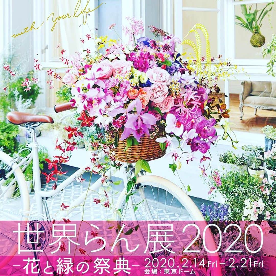 世界らん展日本大賞のインスタグラム：「世界らん展2020-花と緑の祭典- 開催決定＆前売チケット販売開始！！ 30周年を迎える今回のコンセプトは「満開」😊 会場中央に100万輪の「らん」を使って満開の桜を表現したシンボルモニュメント「桜蘭」がお目見えし、一足早い「令和初のお花見」を楽しむことができます🌸  会場内には30周年記念のらんの特別展示や、 世界、全国各地から約200店が集まるボタニカルマーケット、 多肉植物の展示など、花と緑で彩られた空間が広がります！！ らんはもちろん、花と緑が溢れる8日間限定のイベントにぜひご来場ください！ ＊＊＊＊＊＊＊＊＊＊＊＊＊＊＊＊＊＊＊＊＊＊＊＊＊＊＊ 【開催期間】2020年2月14日(金)～2月21日(金) 【開催場所】東京ドーム 【チケット】前売券　2,000円／ナイト前売券　1,000円 ※全て税込み　※ナイト券は営業延長日17時以降使用可能 ＊＊＊＊＊＊＊＊＊＊＊＊＊＊＊＊＊＊＊＊＊＊＊＊＊＊＊＊ ↓↓↓↓↓詳しい情報は公式ホームページで↓↓↓↓↓ https://www.tokyo-dome.co.jp/orchid/  #世界らん展2020 #いろとりどり  #蘭  #flowers🌸  #写真好きな人と繋がりたい」