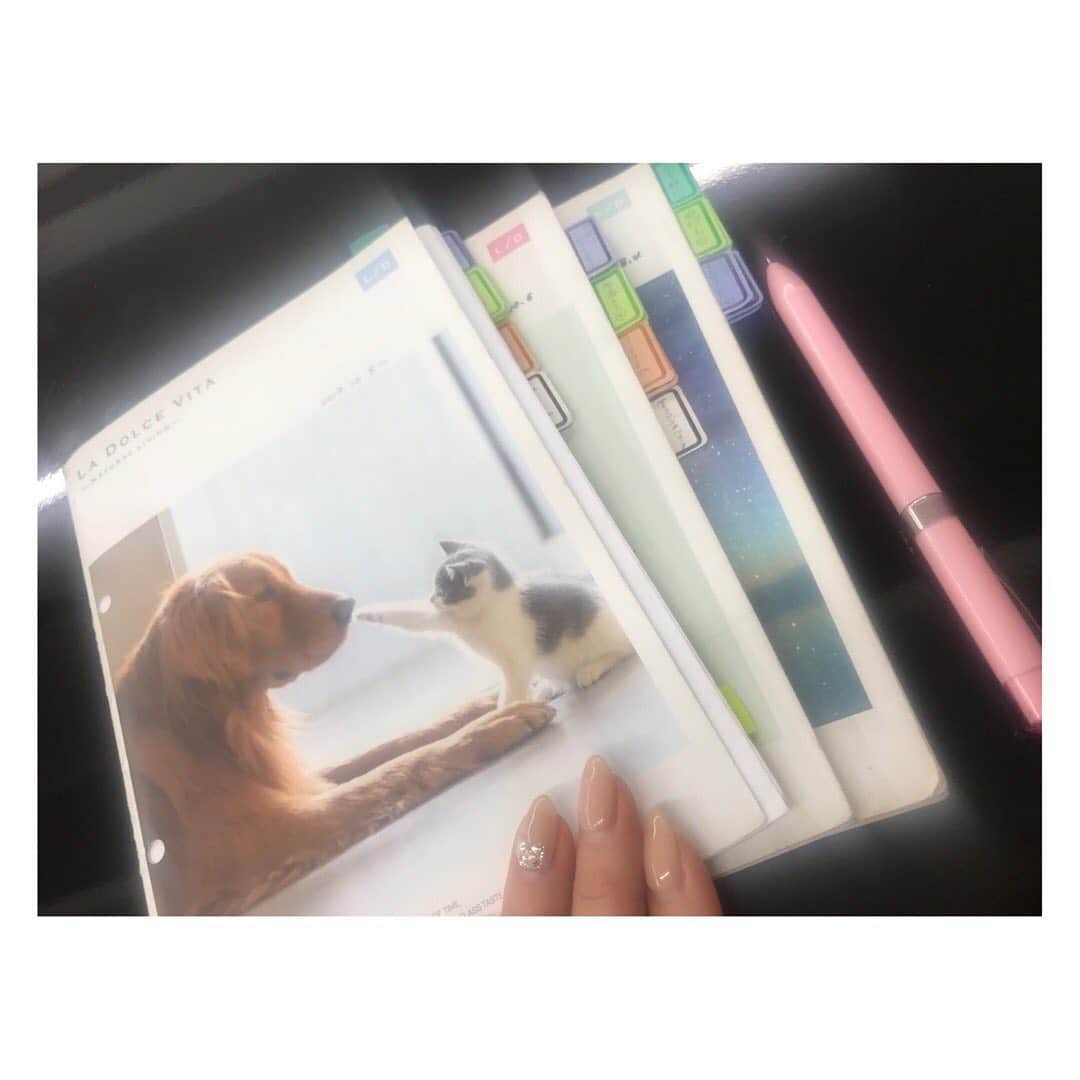 中村果生莉さんのインスタグラム写真 - (中村果生莉Instagram)「📓 . . 今年だけでなんと、7冊目突入！ . . このNOTEには、セッション中の会話が全て詰まっていて、たっっくさんの方の人生が詰まってます。 . . 新しいノートを買いに行ったら、ワンチャンシリーズが追加されてて、テンション上がりすぎて全種類買ってしまった〜🤣❤️ . . 特にこのビションフリーゼ(アフロ犬のモデルになった犬！)の可愛さ、最強すぎる🐶 . . #メンタルトレーニング #メンタルトレーナー #note #文具 #犬 #ビションフリーゼ #可愛い」12月3日 12時38分 - kaori.nakamura_0226