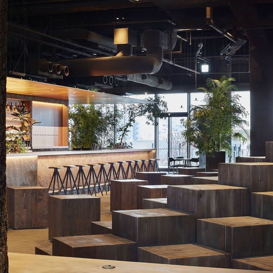 ELLE DECOR JAPANさんのインスタグラム写真 - (ELLE DECOR JAPANInstagram)「Tokyo new address at Omotesando.  GYRE was designed by the MVRDV in 2007. In November 2019, the GYRE’s restaurant floor to reopen as “GYRE FOOD” and Tsuyoshi Tane is responsible for the space design. This place is his first restaurant project in Japan. PRE OPEN 2019/11/30 GRAND OPEN 2020/01/10 ・ 表参道GYRE4階レストランフロア「GYRE.FOOD」。 建築家の田根剛さんが手がけたフロア。土、植物、循環。食べ残した食べ物は、テラスのコンポストで土に戻り、ここの緑を育てる。すべてが失われ東京が遺跡になった未来の姿から、田根さんの発想は時を遡って、いまここに至る。全館、土です。 #Repost @ryuko.kida 11月30日よりプレオープン、2020年1月10日グランドオープン予定 ・ ・ #gyrefood #tsuyoshitane #harajuku @tsuyoshi_tane  @ateliertsuyoshi_tanearchitects #tsuyoshitanearchitects #elledecorjapan #エルデコ #表参道 #Gyre #ジャイル #建築 #建築好き #田根剛 #tsuyoshitane #原宿 #harajuku #omotesando #デザイン #デザイン好き #tokyoarchitecture #elledecor」12月3日 13時14分 - elledecorjapan