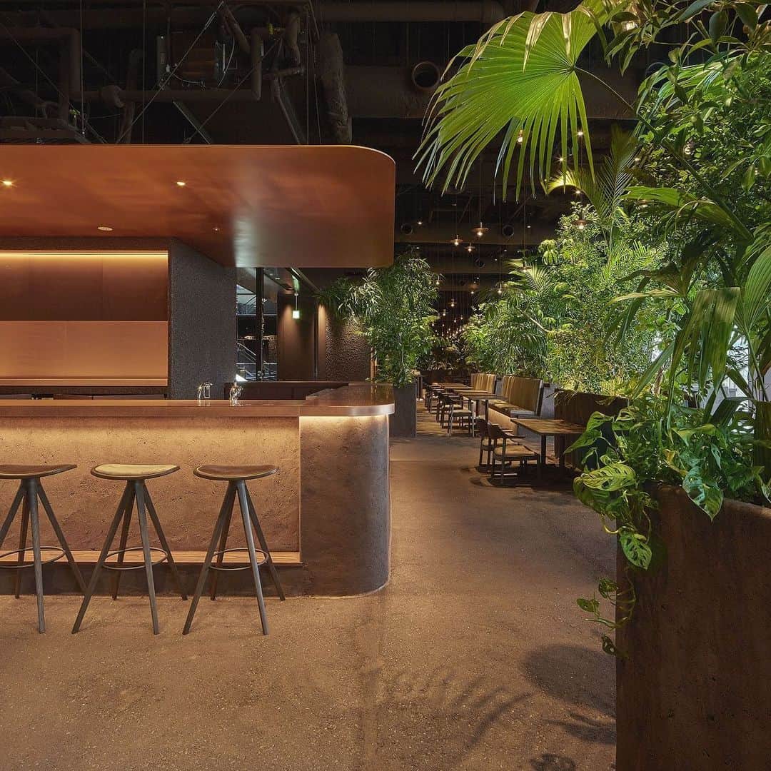 ELLE DECOR JAPANさんのインスタグラム写真 - (ELLE DECOR JAPANInstagram)「Tokyo new address at Omotesando.  GYRE was designed by the MVRDV in 2007. In November 2019, the GYRE’s restaurant floor to reopen as “GYRE FOOD” and Tsuyoshi Tane is responsible for the space design. This place is his first restaurant project in Japan. PRE OPEN 2019/11/30 GRAND OPEN 2020/01/10 ・ 表参道GYRE4階レストランフロア「GYRE.FOOD」。 建築家の田根剛さんが手がけたフロア。土、植物、循環。食べ残した食べ物は、テラスのコンポストで土に戻り、ここの緑を育てる。すべてが失われ東京が遺跡になった未来の姿から、田根さんの発想は時を遡って、いまここに至る。全館、土です。 #Repost @ryuko.kida 11月30日よりプレオープン、2020年1月10日グランドオープン予定 ・ ・ #gyrefood #tsuyoshitane #harajuku @tsuyoshi_tane  @ateliertsuyoshi_tanearchitects #tsuyoshitanearchitects #elledecorjapan #エルデコ #表参道 #Gyre #ジャイル #建築 #建築好き #田根剛 #tsuyoshitane #原宿 #harajuku #omotesando #デザイン #デザイン好き #tokyoarchitecture #elledecor」12月3日 13時14分 - elledecorjapan