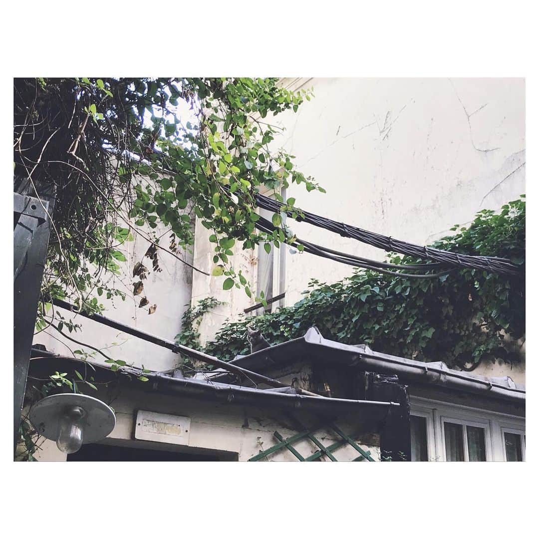 のインスタグラム：「find me  try to find me You should look for me hurry up!  AIO　#cat #my #heart」