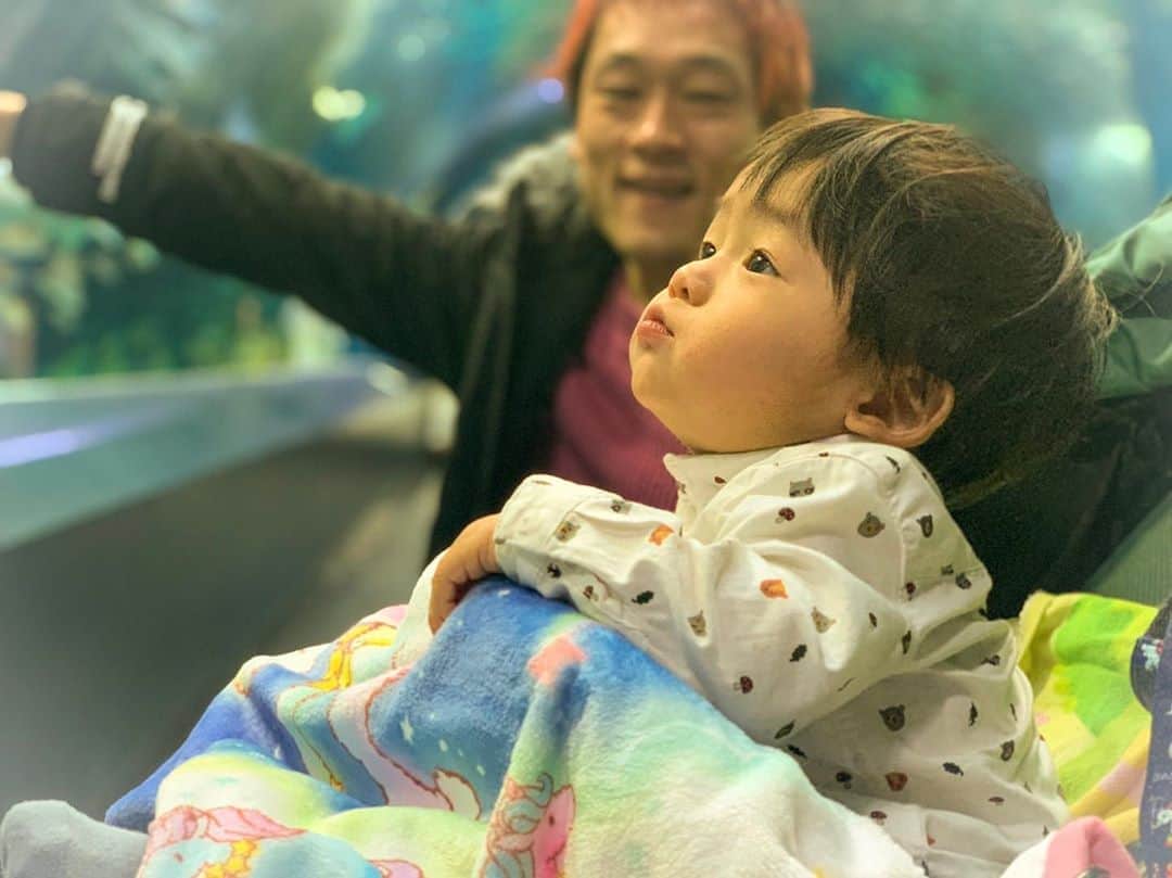 MAX鈴木さんのインスタグラム写真 - (MAX鈴木Instagram)「ハニコさんが加工してくれた写真。  水族館大好き。  #チビmax  #ハニコさん #品川水族館」12月3日 13時39分 - max_suzuki