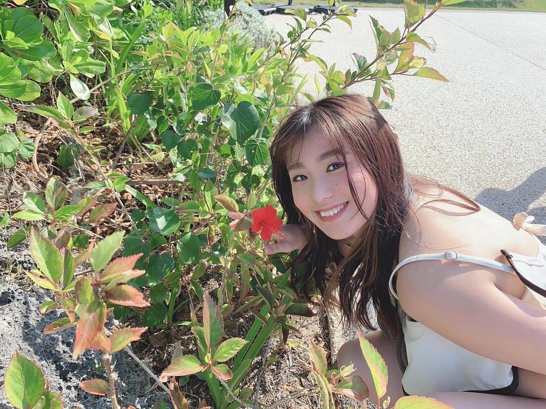 荒木悠衣のインスタグラム：「- ビスカスとあたい。」
