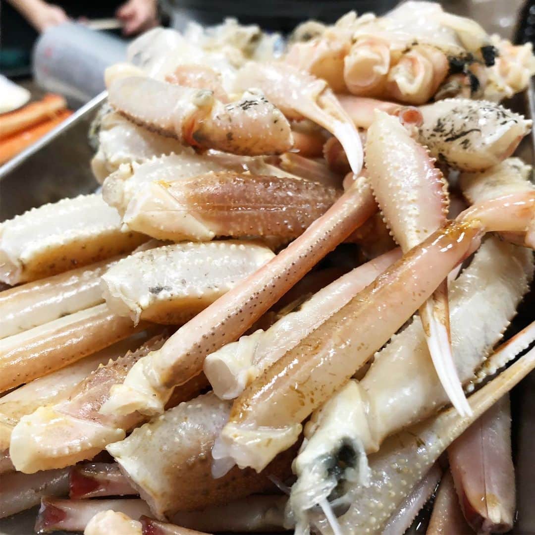 乾雅人さんのインスタグラム写真 - (乾雅人Instagram)「$1,000 crab party  蟹を食う旅@鳥取 数十杯の松葉蟹と香箱蟹を喰らう。 また行きたい。」12月3日 15時03分 - inuimasato