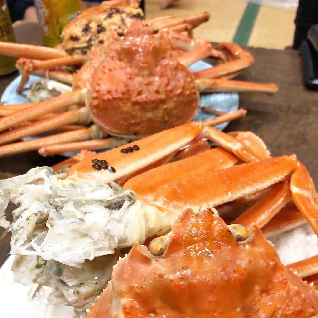 乾雅人のインスタグラム：「$1,000 crab party  蟹を食う旅@鳥取 数十杯の松葉蟹と香箱蟹を喰らう。 また行きたい。」