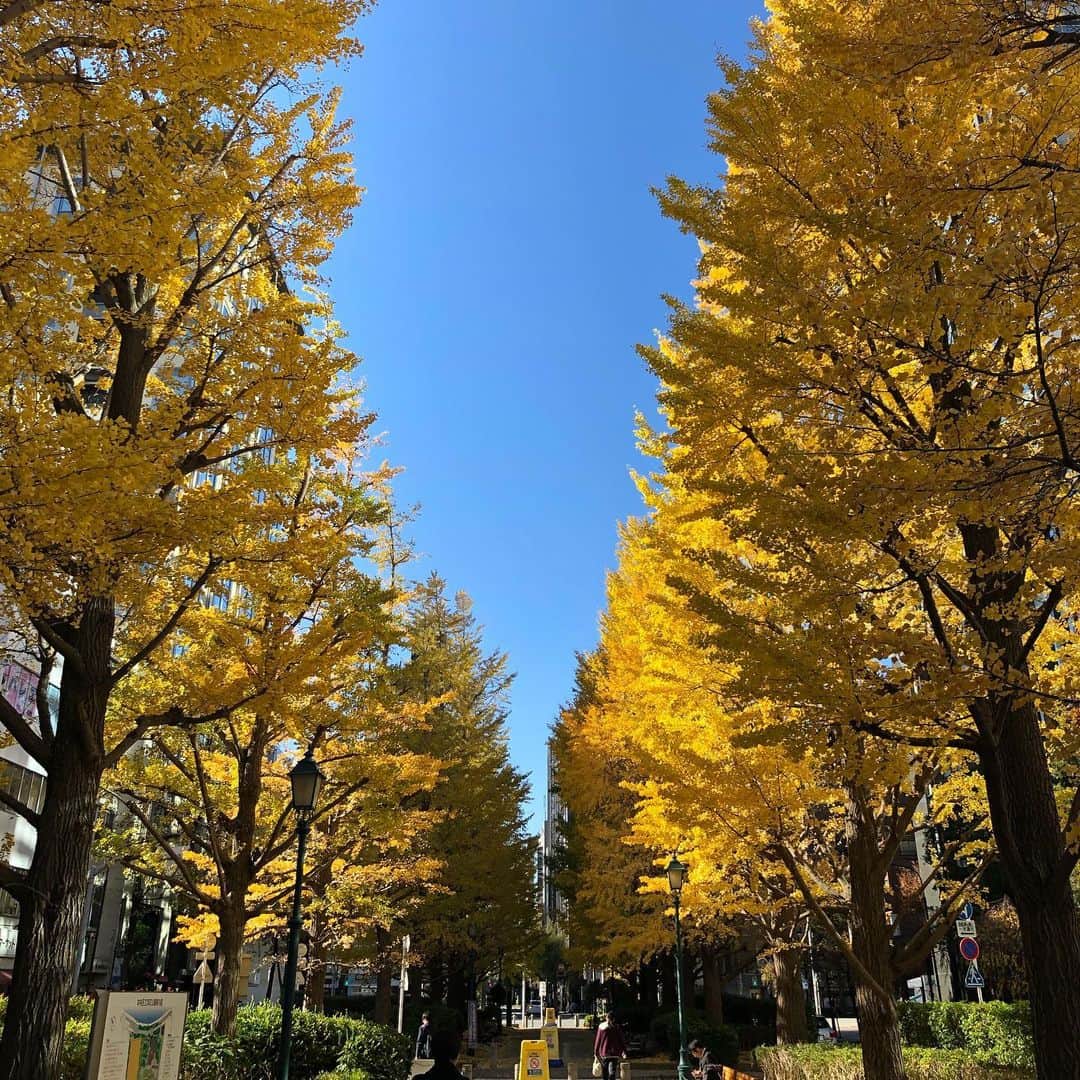 シーサーのインスタグラム：「・ 地下リハーサルから深呼吸しに地上にでたら、 綺麗な青と黄色。  #今日あったかいね #深呼吸大事ね」
