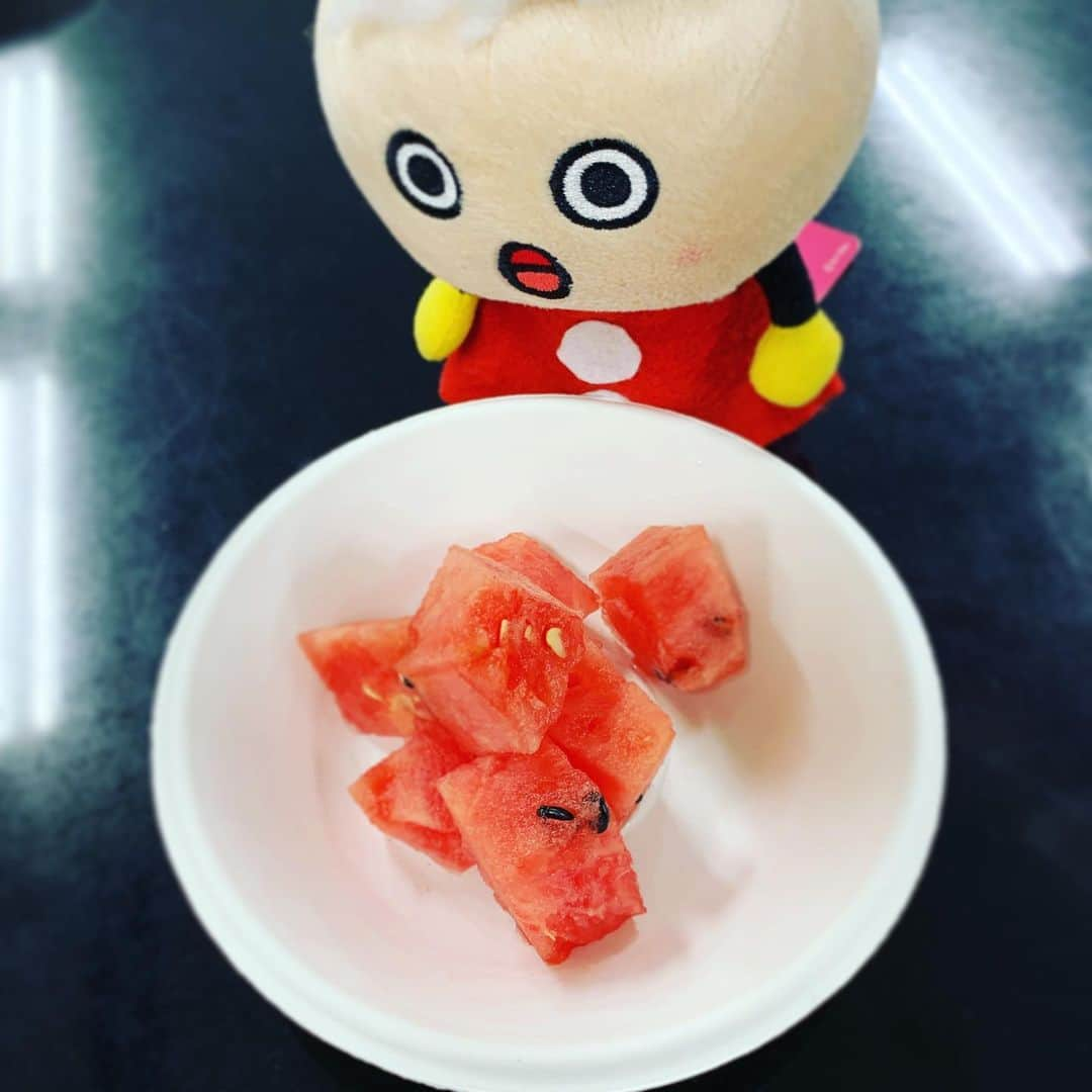 DJ AIKO 62さんのインスタグラム写真 - (DJ AIKO 62Instagram)「お歳暮のスイカ、お裾分けいただきました。美味しい！ #冬のスイカ #スイカ #watermelon  #tawawachan  #djaiko62  #今日もスタジオにはたわわちゃん  #かわいい #びっくり #ぬい撮り  #ごちそうさまでした #すいか」12月3日 15時19分 - djaiko62