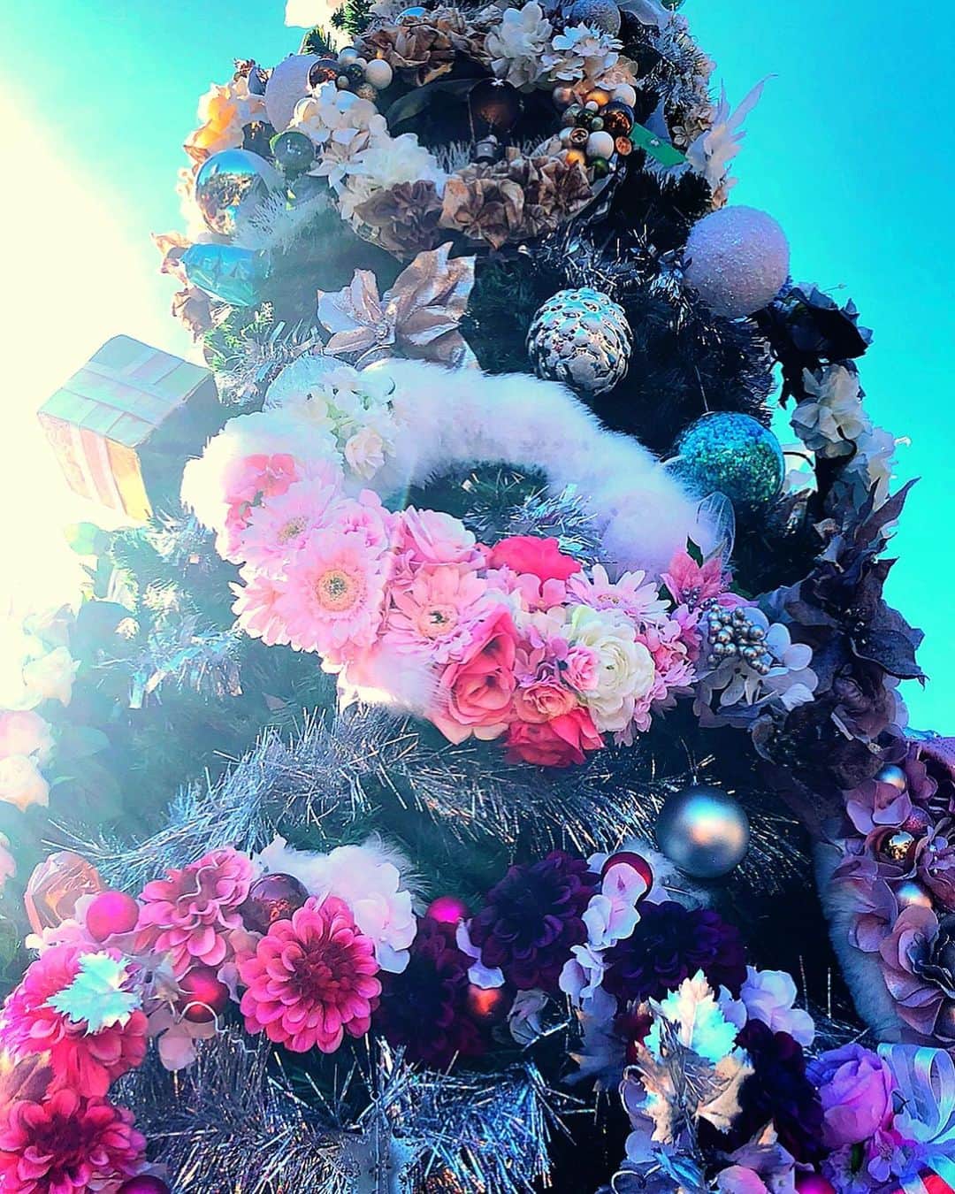 理絵さんのインスタグラム写真 - (理絵Instagram)「去年の日比谷公園にあったクリスマスツリー🎄可愛かったな  今年もこんな可愛いツリー🎀どこかで出会えるといいな  #クリスマスツリー #ツリー #christmastree #クリスマス #christmas #2018 #思い出」12月3日 15時45分 - ____rie____