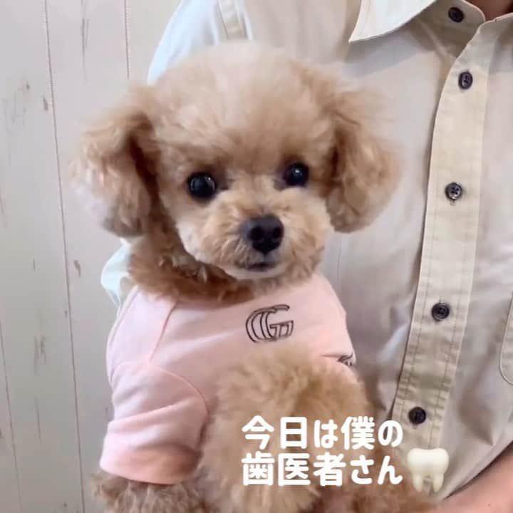 ❤︎Till❤︎のグルメインスタ