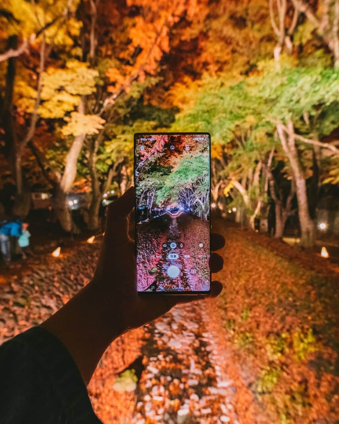 Galaxy Mobile Japanさんのインスタグラム写真 - (Galaxy Mobile JapanInstagram)「河口湖もみじ回廊を #GalaxyNote10Plus で撮影📸 撮影時はちょうど紅葉になり始めたタイミングで、緑と赤のコントラストがとっても綺麗でした…😍 皆さんは、今年はどんな紅葉の写真が撮れましたか？冬になる前に…ぜひ  #Galaxyカメラ部 をつけて投稿してくださいね🍁 📸#GalaxyNote10+ #withGalaxy Photo by @8s_hero ・ ・ ・ #山梨 #河口湖 #山梨旅行 #山梨観光 #河口湖もみじ回廊 #もみじ回廊 #紅葉 #紅葉🍁 #🍁 #紅葉狩り #晩秋 #日本の景色 #日本の絶景 #日本の美 #yamanashi #mtfuji #kawaguchiko #Galaxyカメラ部」12月3日 17時01分 - samsungjpn