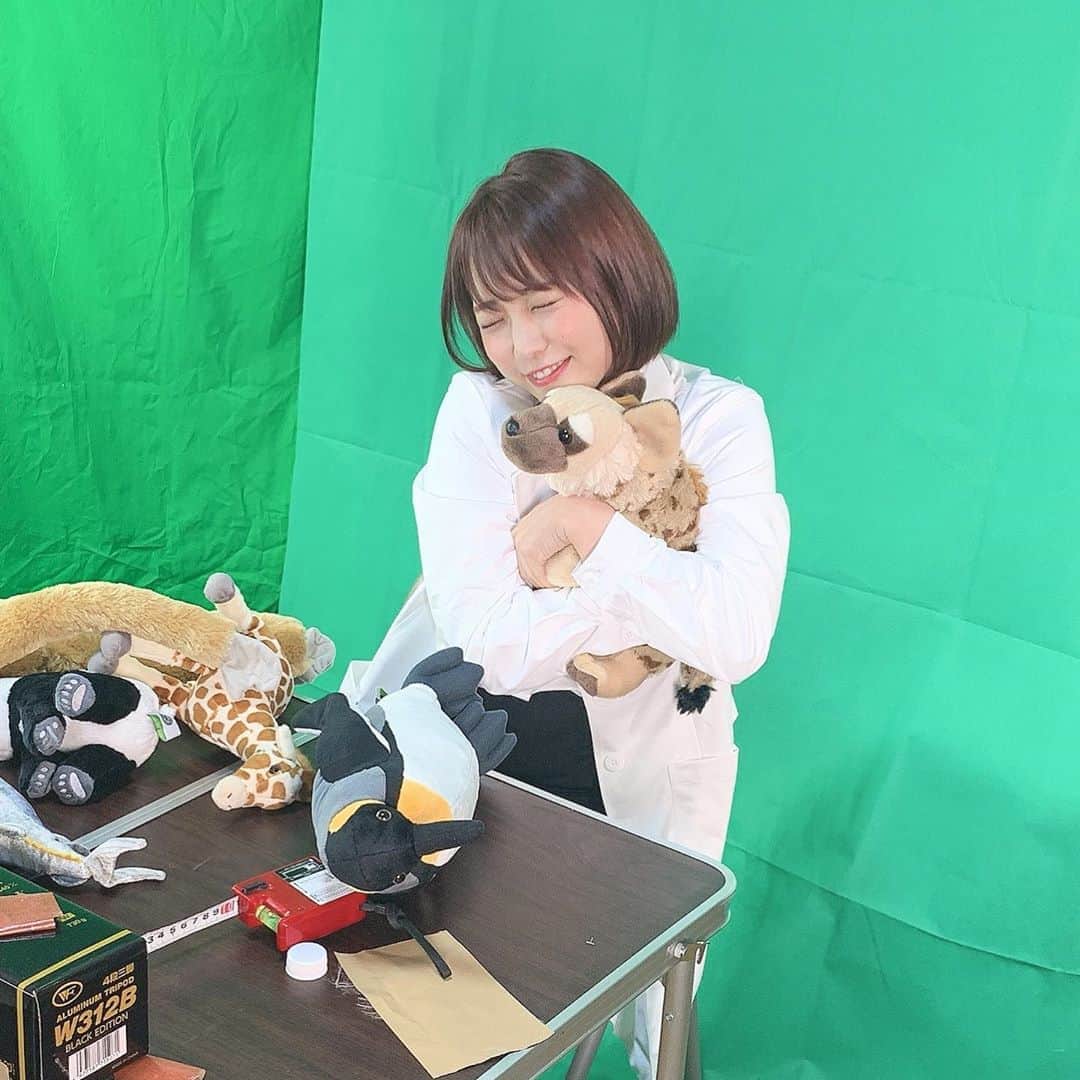 のインスタグラム：「何やら楽しい撮影してきたよ🐈🐘 最近真面目な話題ばかりだったから馬鹿馬鹿しい撮影たのしかった！公開をお楽しみに〜！ . 今週末も馬鹿馬鹿しいイベントやるよ🐈 12/8 渋谷Loft9にてまこりんレディオ公開収録with 桜もこちゃん 💕 エンタ959さんのHPで予約できるよ！遊びに来てね🌈」