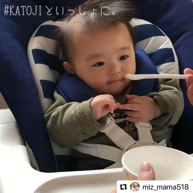 KATOJI（カトージ）のインスタグラム