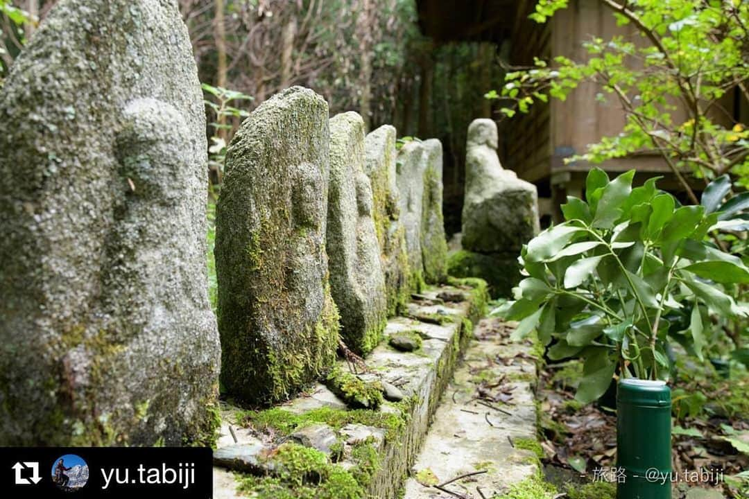 西条市さんのインスタグラム写真 - (西条市Instagram)「人の温もり﻿ ﻿ 誰かの手が入っとんのを見ると、ほっとする。﻿ ﻿ 石鎚詣りでめちゃ栄えた麓の町、西之川や河口に行くと、石積みや民家から生活の跡を感じられるよ。﻿ ﻿ ﻿ #石鎚村﻿ #石鎚山系 #お地蔵さん #中山間地域 #石鎚山麓﻿ ﻿ ﻿ ﻿ Repost @yu.tabiji with @get_repost﻿ ・・・﻿ 「廃村の社」﻿ ﻿ 石鎚山の麓のとある廃村。家屋は崩れ、道には植物が茂りつつある。そんな中にひっそりと残る小さな社。並んだ地蔵の前にはまだ新しい枝が供えられていた。﻿ ﻿ 2019年「秋の石鎚山系」の写真はこちら﻿ ↓↓↓﻿ #旅路2019秋の石鎚山系﻿ ﻿ 全ての旅の写真はこちら﻿ ↓↓↓﻿ #旅路写真集﻿ ﻿ #四国 #shikokucameraclub #愛媛 #西条 #lovesaijo #廃村 #神社 #shrine #地蔵﻿ ﻿ #日本の風景 #japantravelphoto﻿ ﻿ #photo_travelers #tokyocameraclub #team_jp #Lovers_Nippon #ptk_japan #bestjapanpics﻿」12月3日 17時53分 - lovesaijo