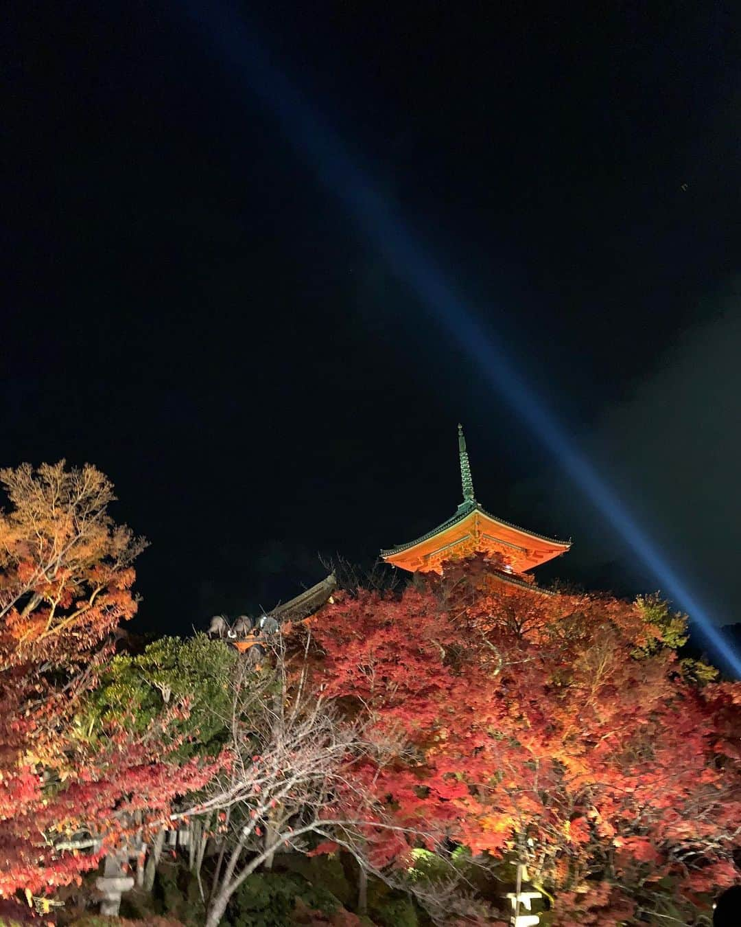 明松美玖さんのインスタグラム写真 - (明松美玖Instagram)「、 紅葉は京都が老舗な気がして 重厚感があるなぁ。 ． 瑠璃光院にも行ってみたい🌄」12月3日 17時58分 - shashishu_daily